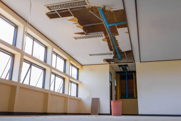 Best Water damage restoration cost  in Roosevelt, NJ