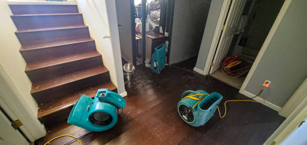 Best Ceiling water damage repair  in Roosevelt, NJ