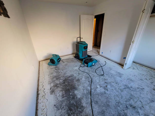 Reliable Roosevelt, NJ Water damage restoration Solutions