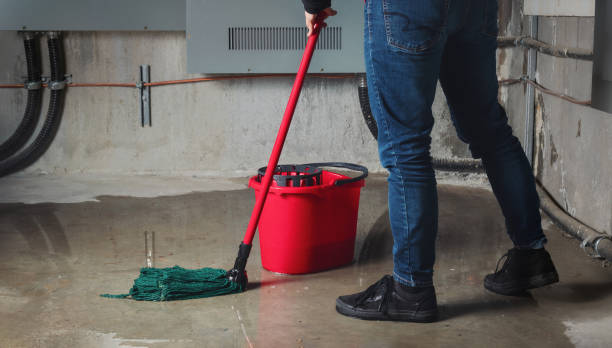 Water damage restoration mold remediation in Roosevelt, NJ
