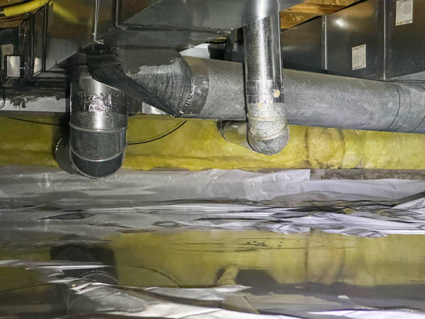 Best Mold removal after water damage  in Roosevelt, NJ