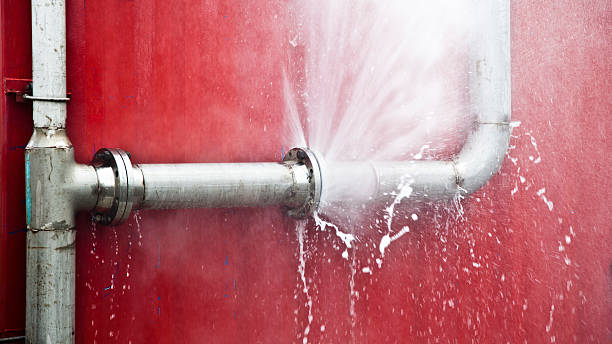Best Flooded house restoration  in Roosevelt, NJ